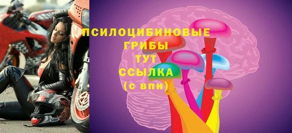 индика Алексеевка
