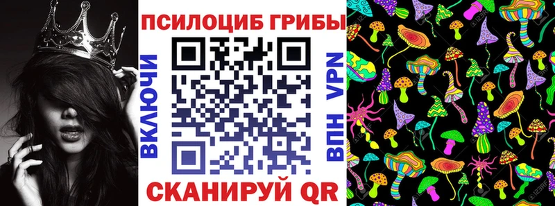 Галлюциногенные грибы MAGIC MUSHROOMS  Болгар 